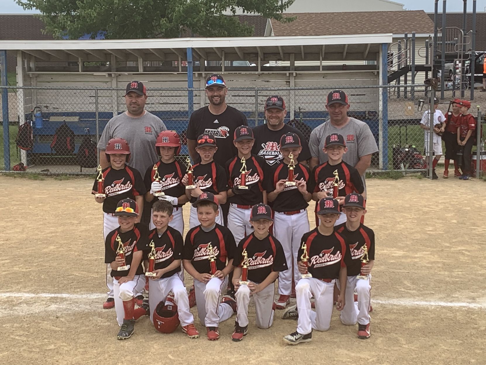 Metamora Redbirds 9U
